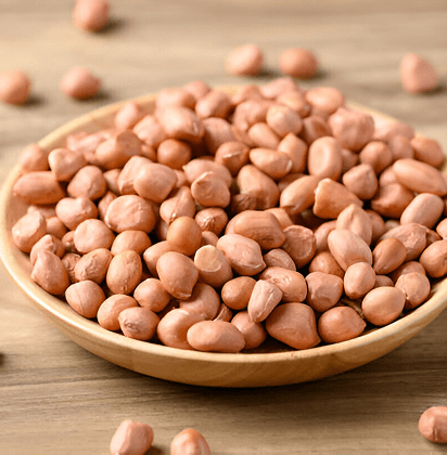 Oil Seeds & Nuts